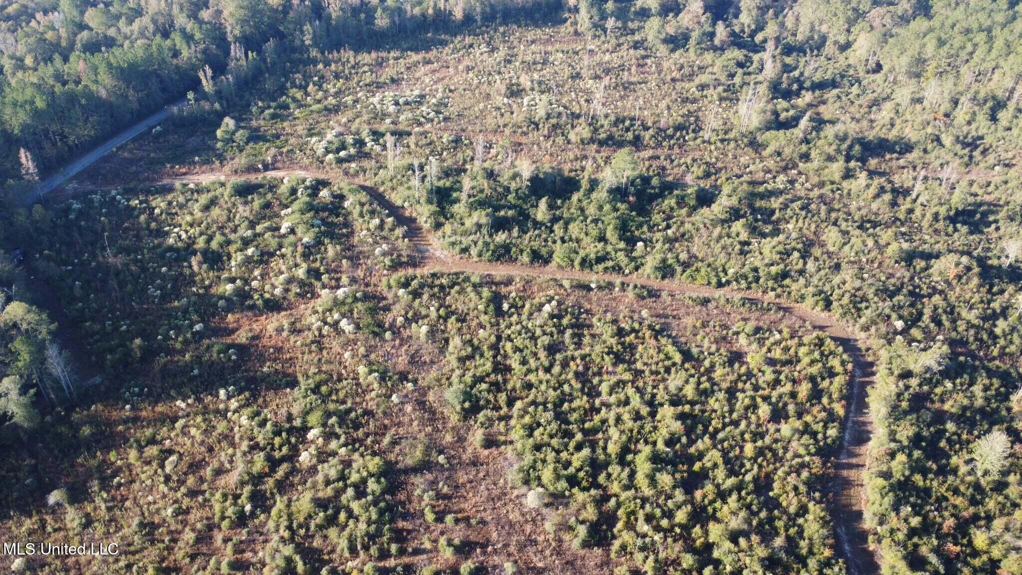 280 Pushapatapa Road Tylertown, MS 39667 - Photo 31 of 79 97d08beb-3c7c-4db4-accf-71581606b984