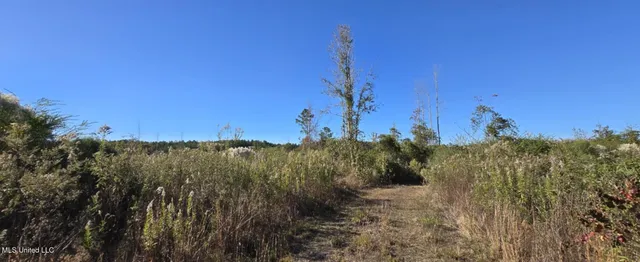 $161,000 | 280 Pushapatapa Road, Tylertown, MS 39667