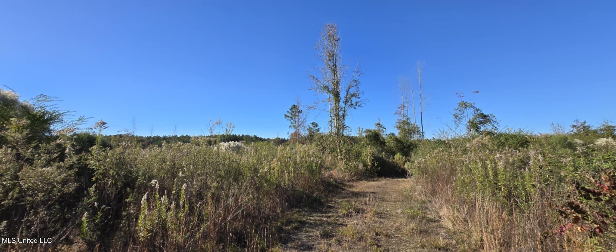 280 Pushapatapa Road Tylertown, MS 39667 - Photo 32 of 79 99e7af33-41fc-49ce-b481-61fca2fcebd5