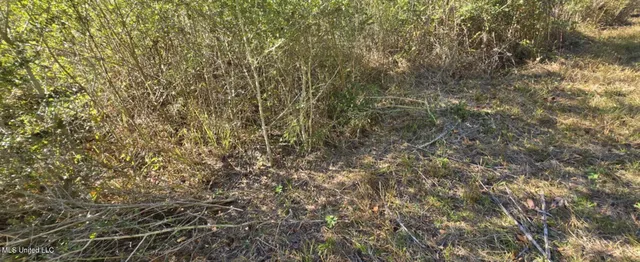 $161,000 | 280 Pushapatapa Road, Tylertown, MS 39667