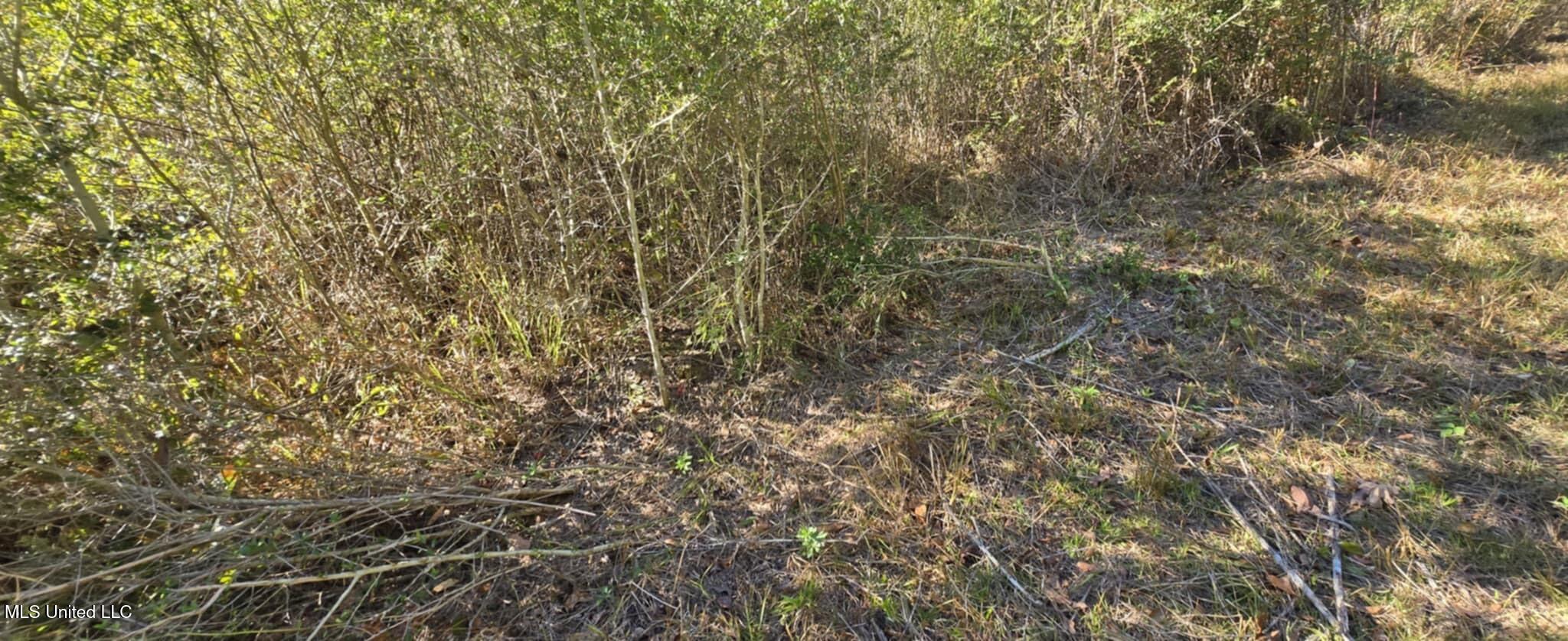 280 Pushapatapa Road Tylertown, MS 39667 - Photo 33 of 79 265aa117-1312-4fac-b4cd-c711f1142f5a