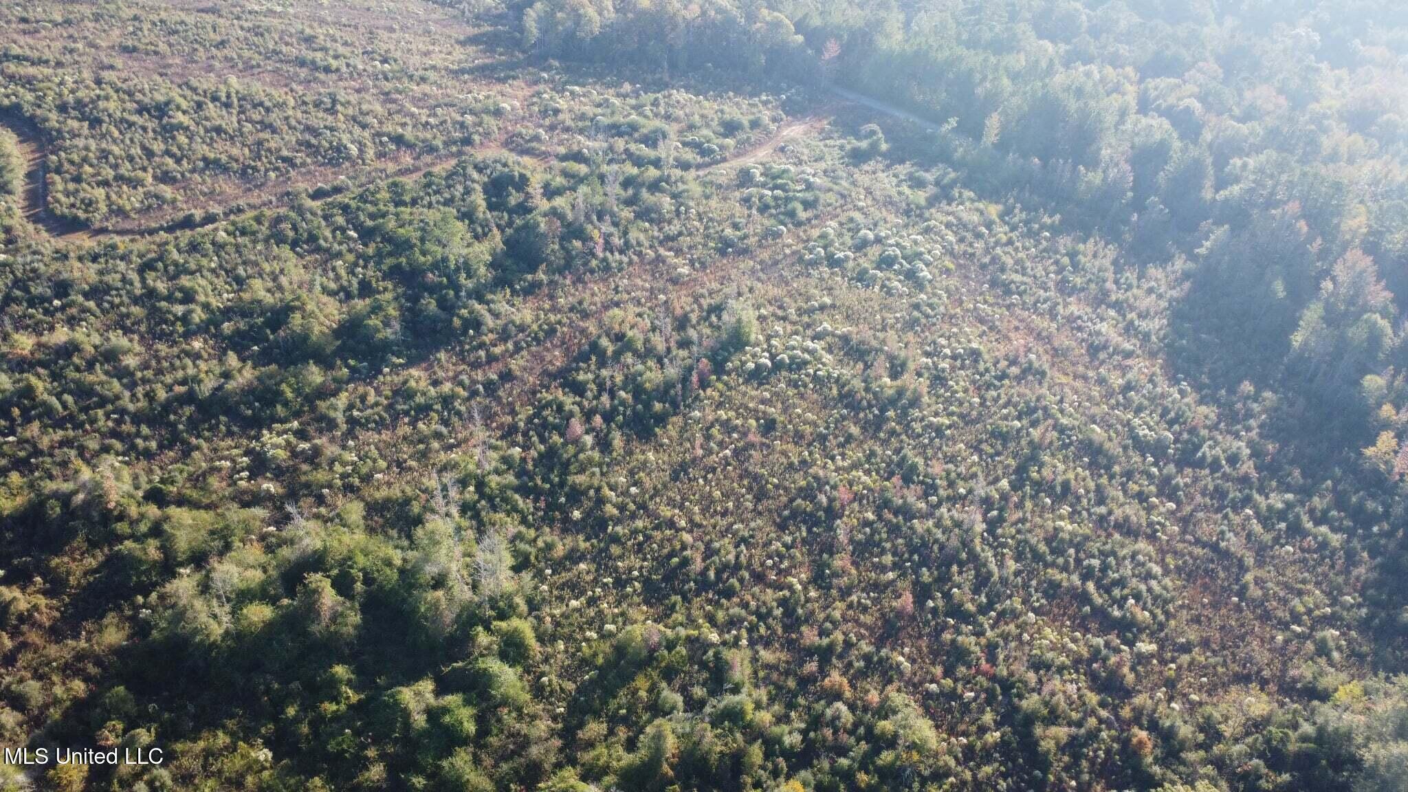 280 Pushapatapa Road Tylertown, MS 39667 - Photo 34 of 79 595c83b3-4b82-4144-963c-fe7042d8789b