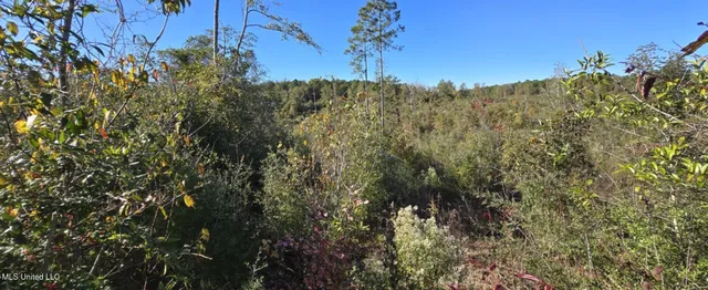 $161,000 | 280 Pushapatapa Road, Tylertown, MS 39667