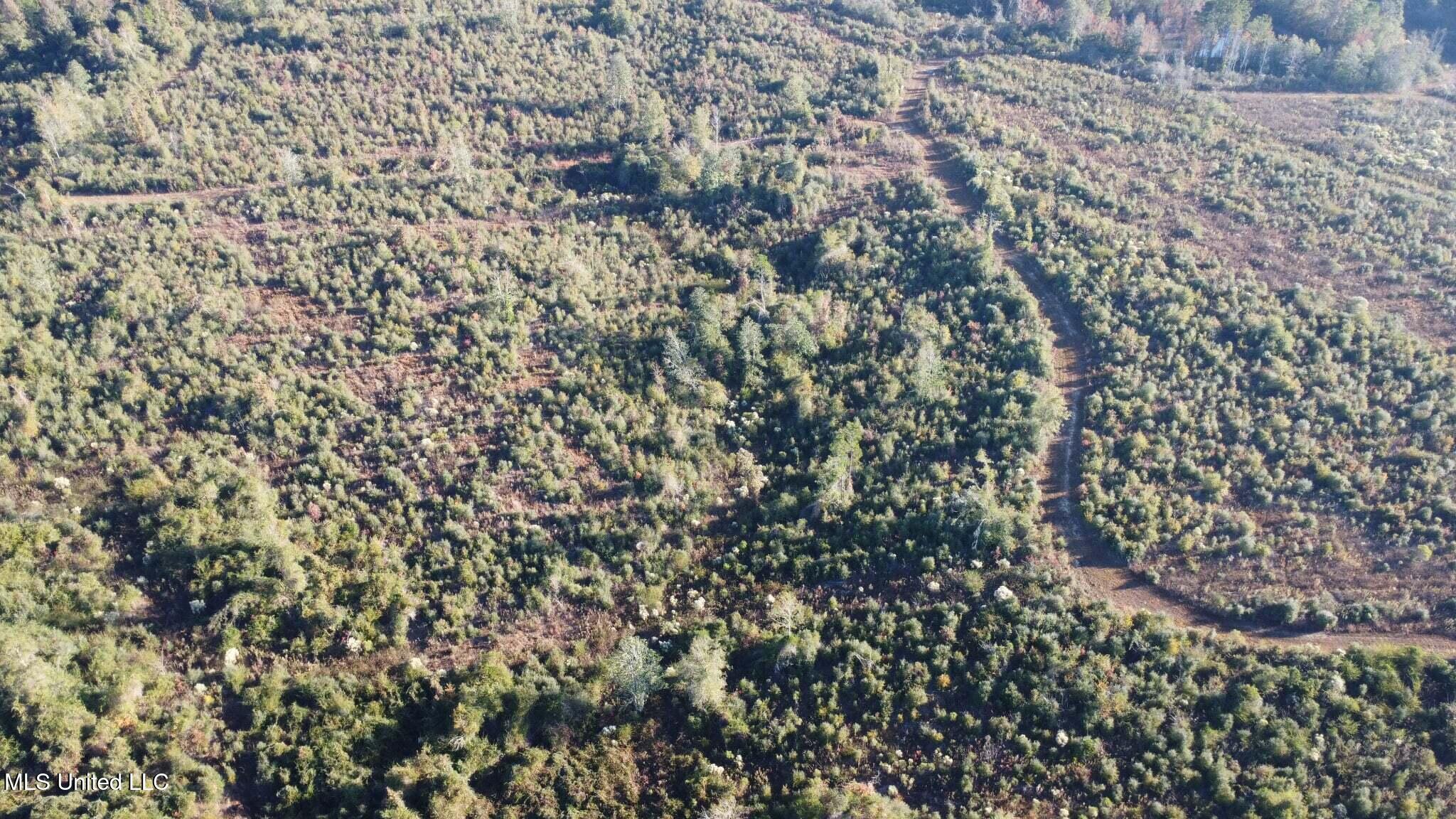 280 Pushapatapa Road Tylertown, MS 39667 - Photo 36 of 79 798ce6e8-fe54-415f-9793-0568d4775518