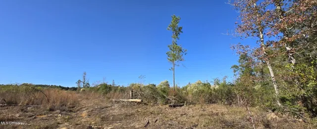 $161,000 | 280 Pushapatapa Road, Tylertown, MS 39667