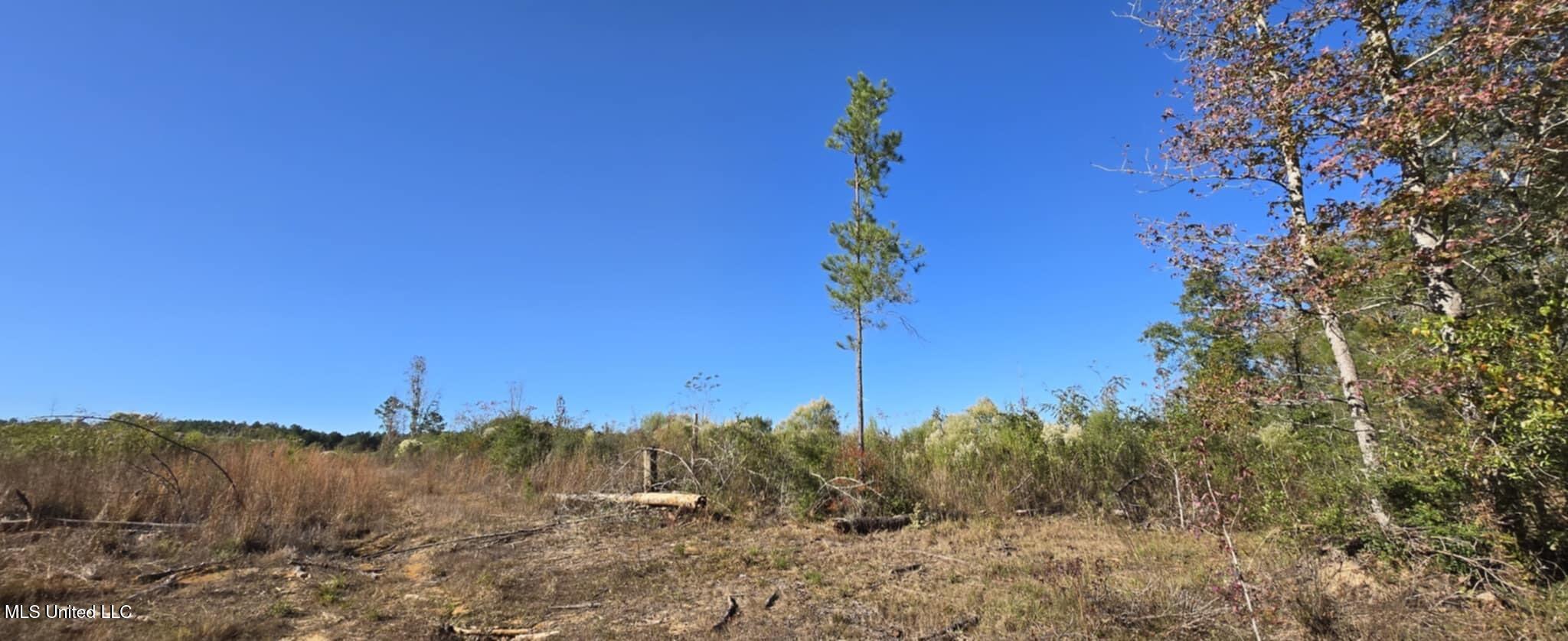 280 Pushapatapa Road Tylertown, MS 39667 - Photo 37 of 79 804e0960-86a2-428a-98a3-88aec4c4eead