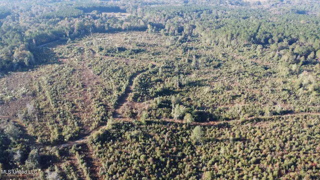 $161,000 | 280 Pushapatapa Road, Tylertown, MS 39667