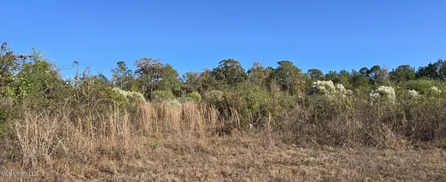 $161,000 | 280 Pushapatapa Road, Tylertown, MS 39667