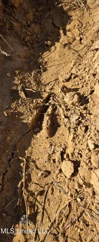 $161,000 | 280 Pushapatapa Road, Tylertown, MS 39667