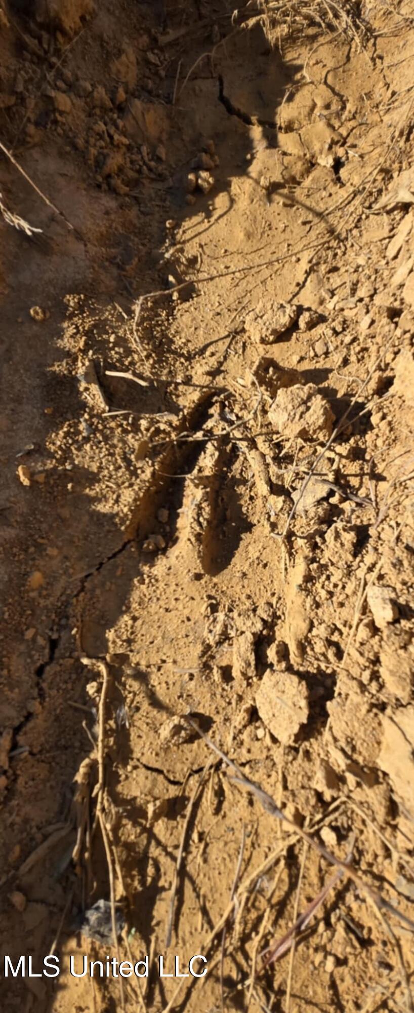 280 Pushapatapa Road Tylertown, MS 39667 - Photo 40 of 79 2439fe31-87a4-4db8-a25c-14550114f2c3