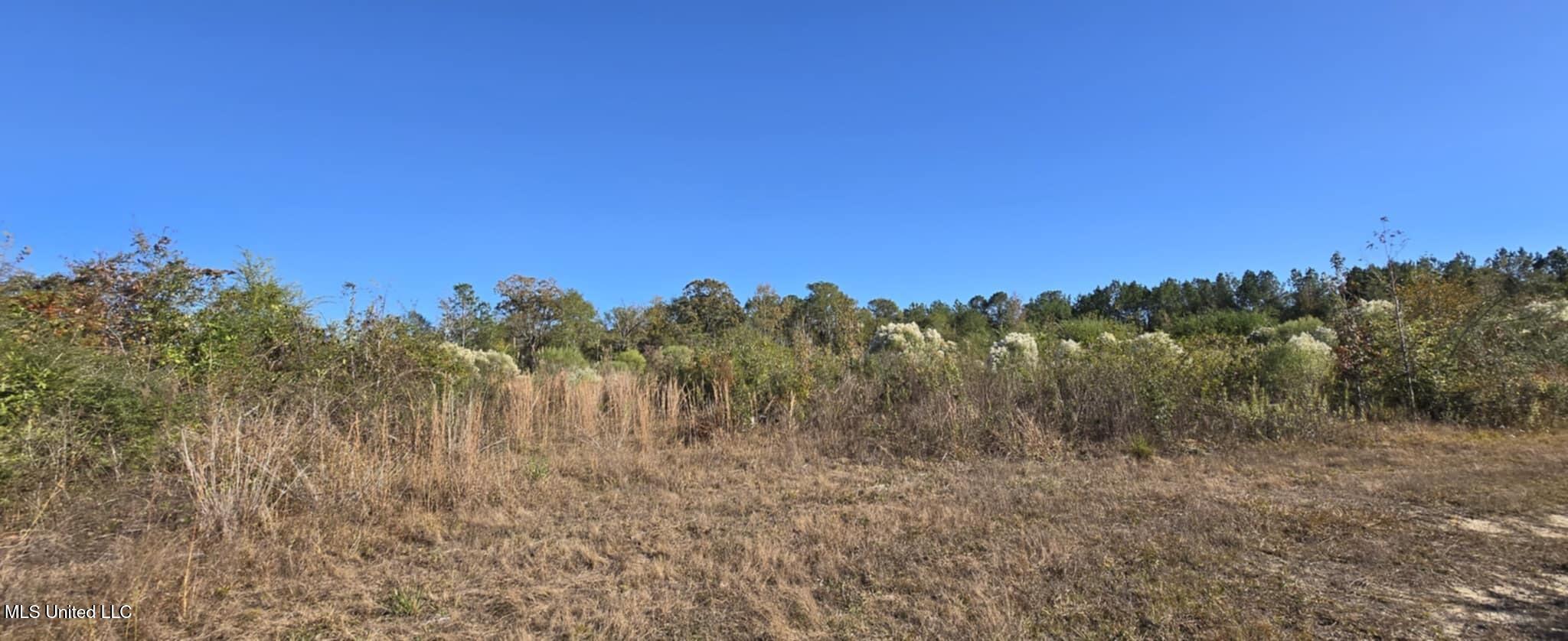 280 Pushapatapa Road Tylertown, MS 39667 - Photo 4 of 79 2a2f669e-1747-481e-b07f-cb2bf299fb99