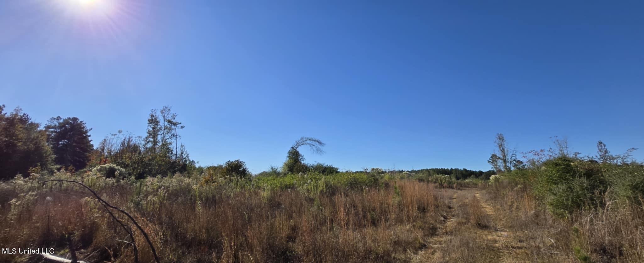 280 Pushapatapa Road Tylertown, MS 39667 - Photo 41 of 79 2991ffa4-dd1f-4a1e-9102-d40605a1b849