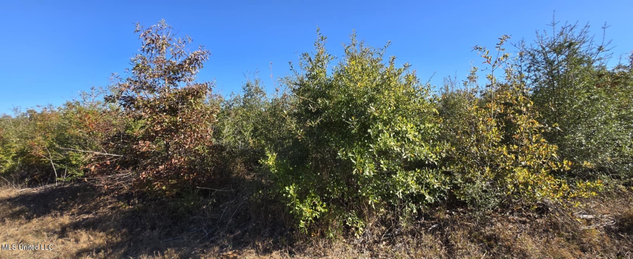 280 Pushapatapa Road Tylertown, MS 39667 - Photo 42 of 79 3708cdac-f203-498f-992c-56ebd817c8bc