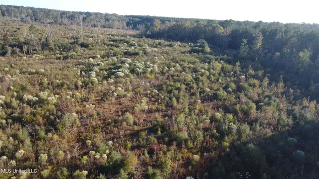 $161,000 | 280 Pushapatapa Road, Tylertown, MS 39667