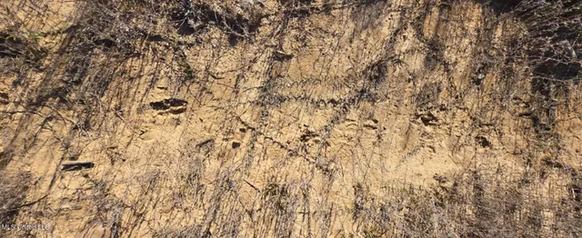 $161,000 | 280 Pushapatapa Road, Tylertown, MS 39667