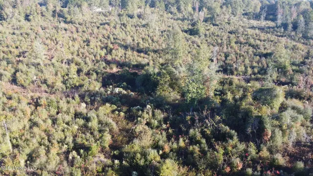 $161,000 | 280 Pushapatapa Road, Tylertown, MS 39667