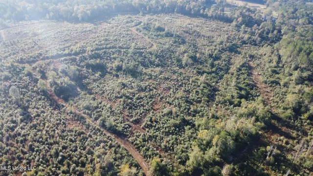 $161,000 | 280 Pushapatapa Road, Tylertown, MS 39667