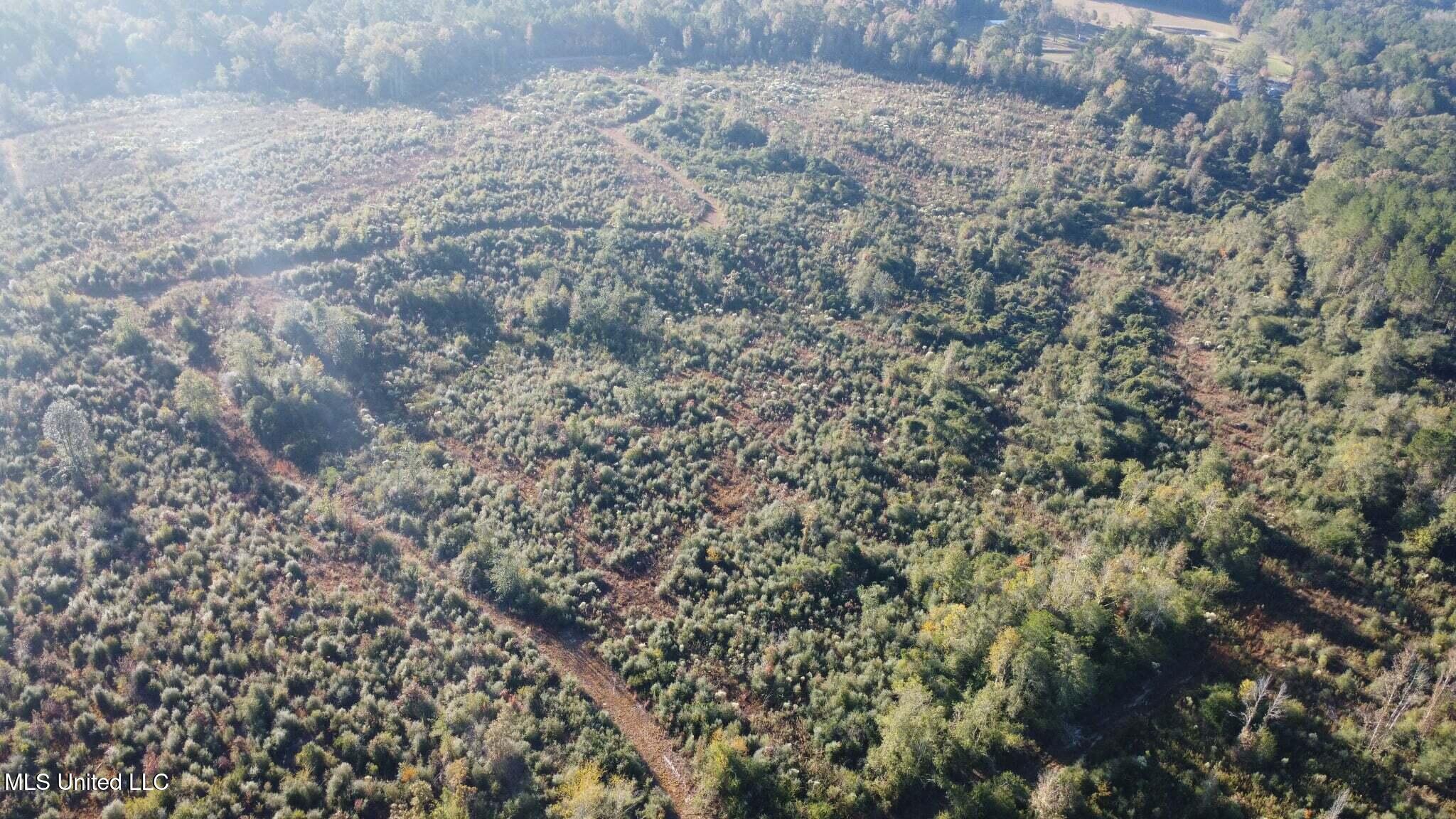 280 Pushapatapa Road Tylertown, MS 39667 - Photo 46 of 79 7947a13a-93e8-4417-af0f-71a93a919708