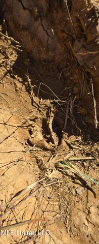 $161,000 | 280 Pushapatapa Road, Tylertown, MS 39667