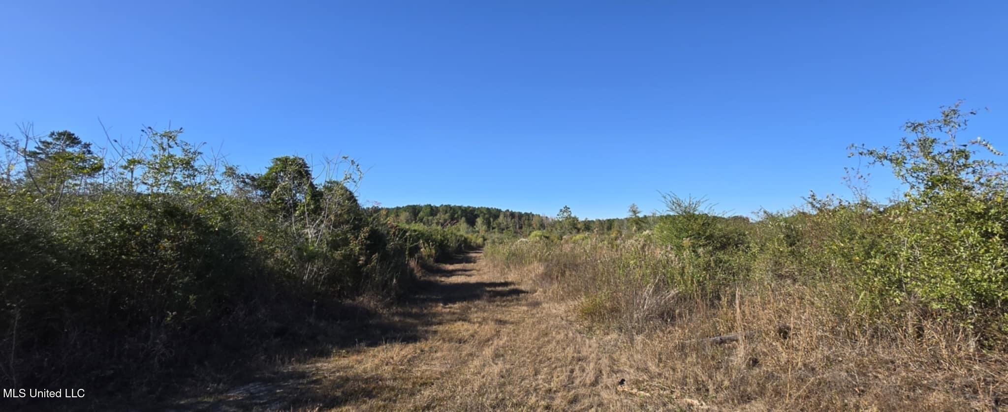 280 Pushapatapa Road Tylertown, MS 39667 - Photo 48 of 79 14512590-a3dc-451e-9a8b-a17a0f21355e