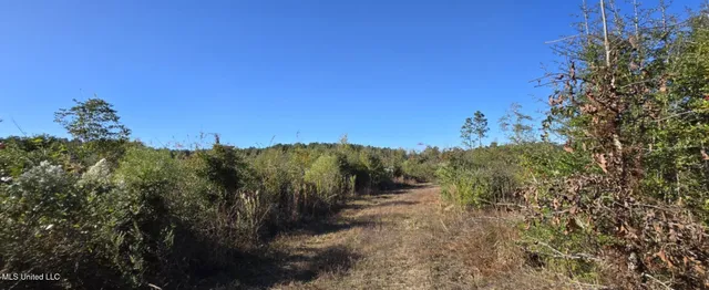 $161,000 | 280 Pushapatapa Road, Tylertown, MS 39667