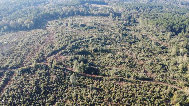 $161,000 | 280 Pushapatapa Road, Tylertown, MS 39667