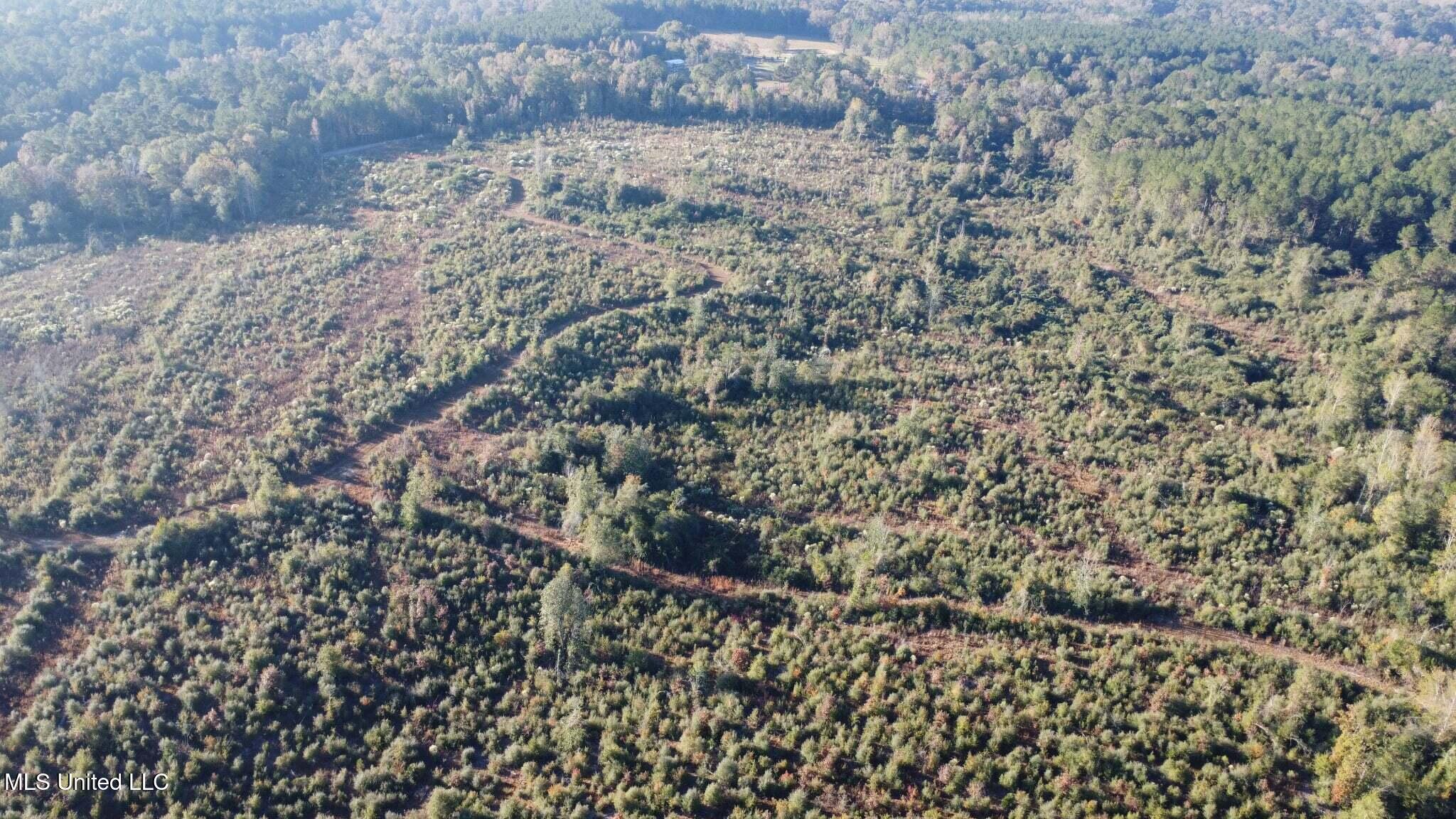 280 Pushapatapa Road Tylertown, MS 39667 - Photo 50 of 79 a2d9a3d0-4b71-4c2e-b64c-ac1c668b9b50