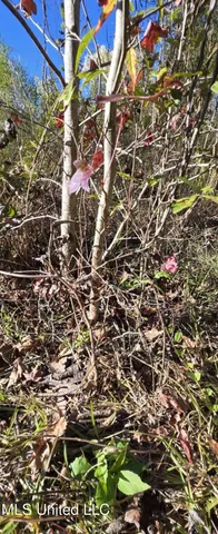 $161,000 | 280 Pushapatapa Road, Tylertown, MS 39667