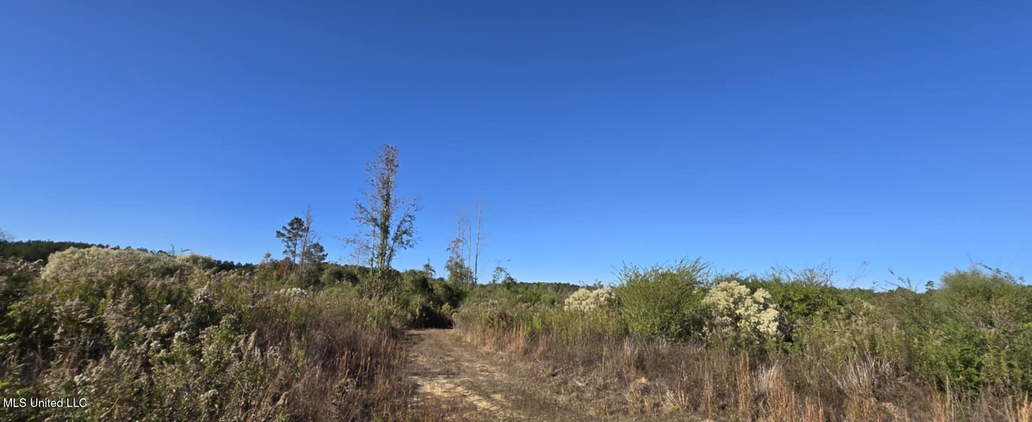 280 Pushapatapa Road Tylertown, MS 39667 - Photo 53 of 79 a9000762-3176-43e6-a80c-7496d14f84d1