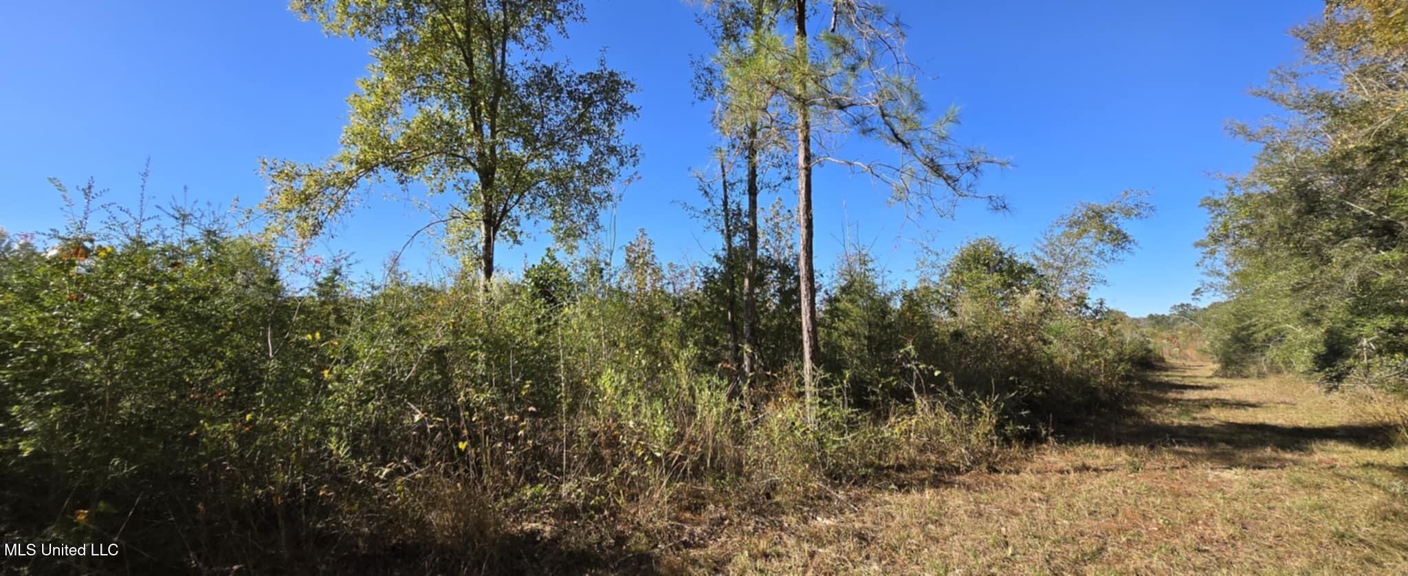 280 Pushapatapa Road Tylertown, MS 39667 - Photo 54 of 79 ab57a198-883b-4ad8-9d2a-0885ec7083bc