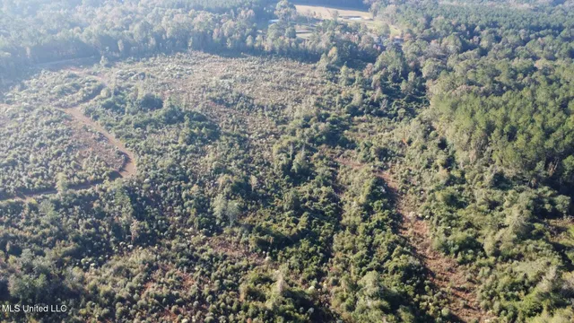 $161,000 | 280 Pushapatapa Road, Tylertown, MS 39667