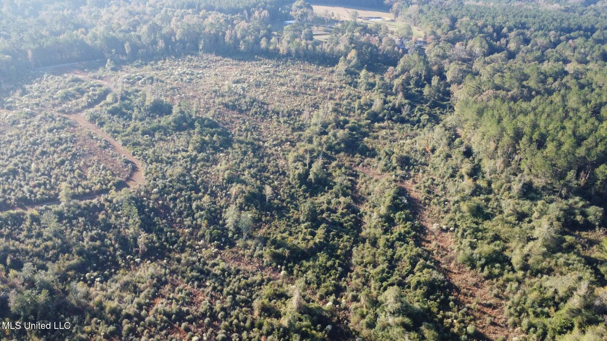 280 Pushapatapa Road Tylertown, MS 39667 - Photo 55 of 79 ab64dc8c-0429-4baf-9d21-eb097ed4ea47