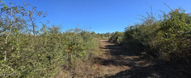 $161,000 | 280 Pushapatapa Road, Tylertown, MS 39667