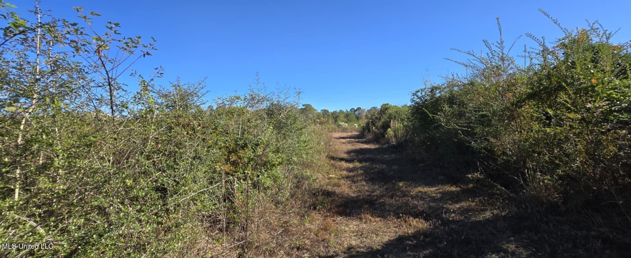 280 Pushapatapa Road Tylertown, MS 39667 - Photo 56 of 79 ab696080-6d5c-4aa3-8547-13d4b6ac1c3e