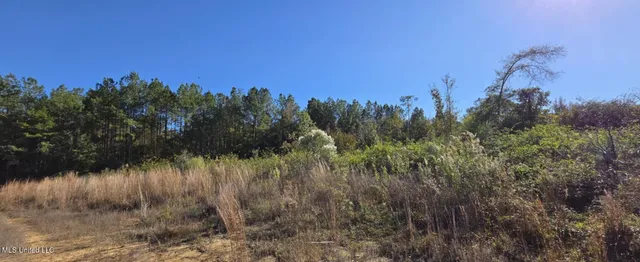 $161,000 | 280 Pushapatapa Road, Tylertown, MS 39667