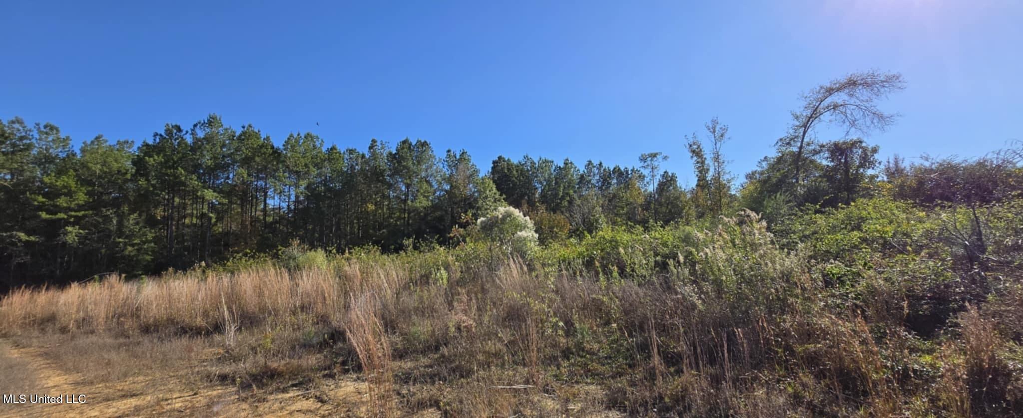 280 Pushapatapa Road Tylertown, MS 39667 - Photo 57 of 79 b6e13f8a-9fa2-4efa-bb90-b16c70bf70ca