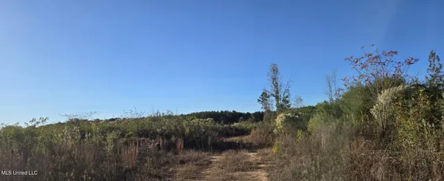 $161,000 | 280 Pushapatapa Road, Tylertown, MS 39667