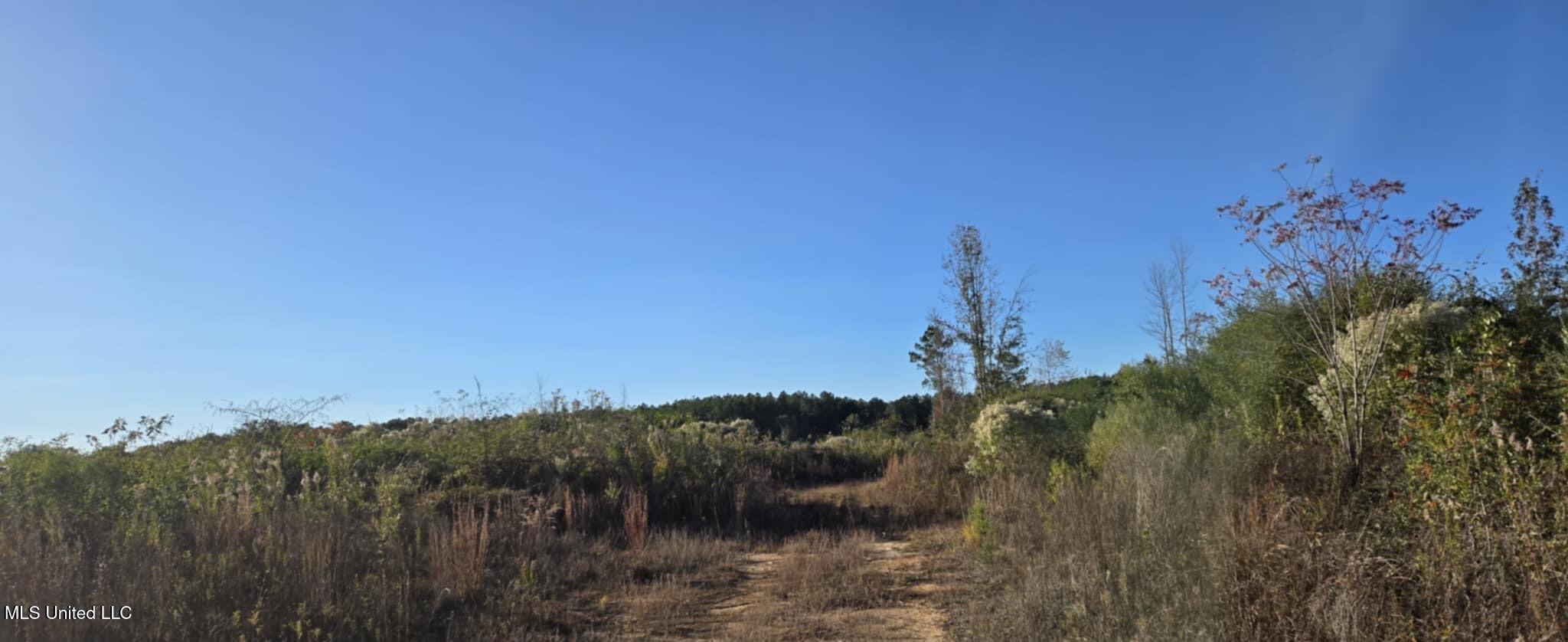 280 Pushapatapa Road Tylertown, MS 39667 - Photo 58 of 79 b6238bef-ce13-4047-b484-c1fd4555216b