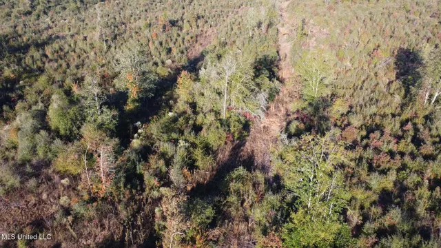 $161,000 | 280 Pushapatapa Road, Tylertown, MS 39667