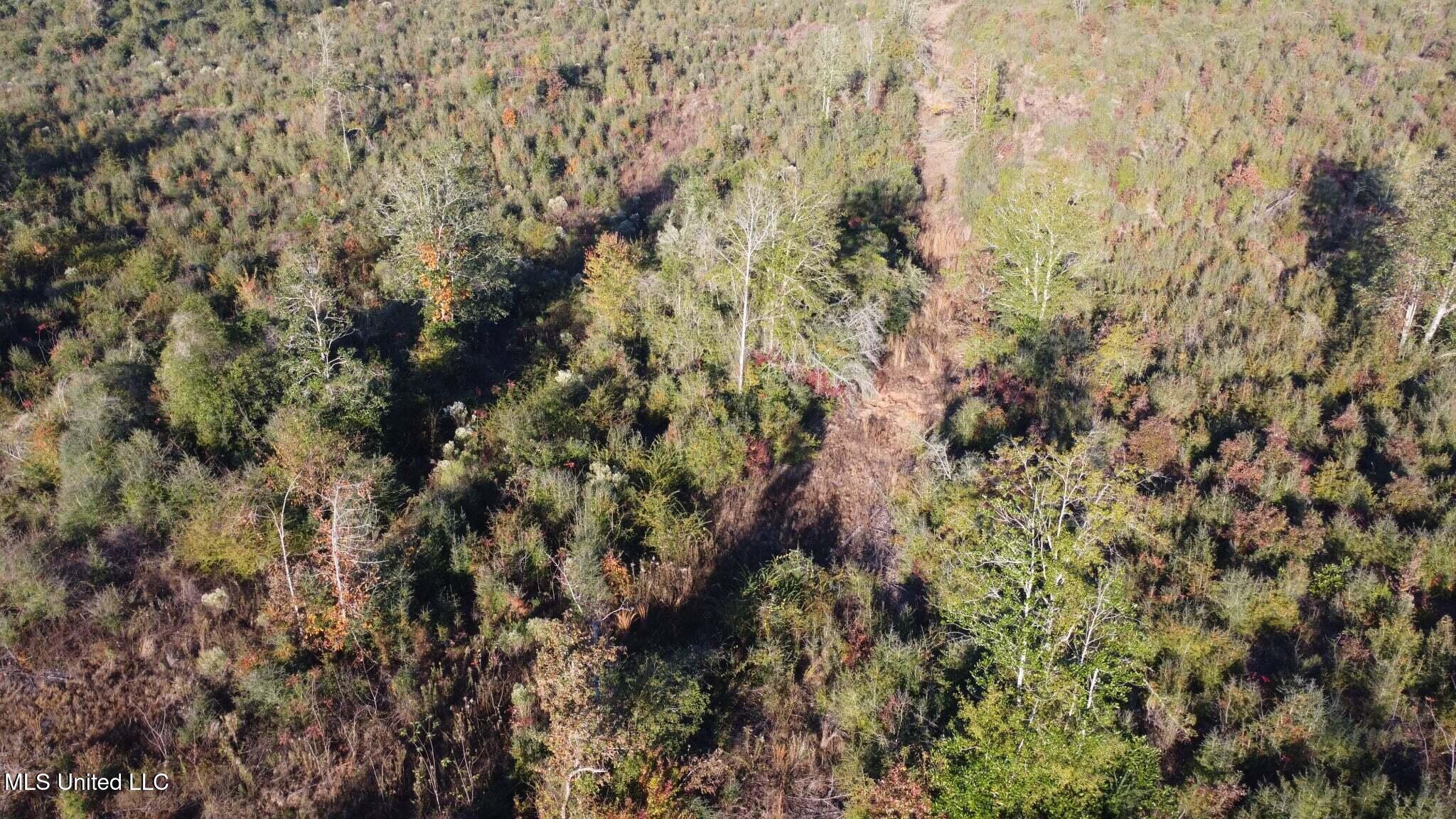 280 Pushapatapa Road Tylertown, MS 39667 - Photo 59 of 79 bdf8eb8f-336b-4a36-888f-f64e68a674a5