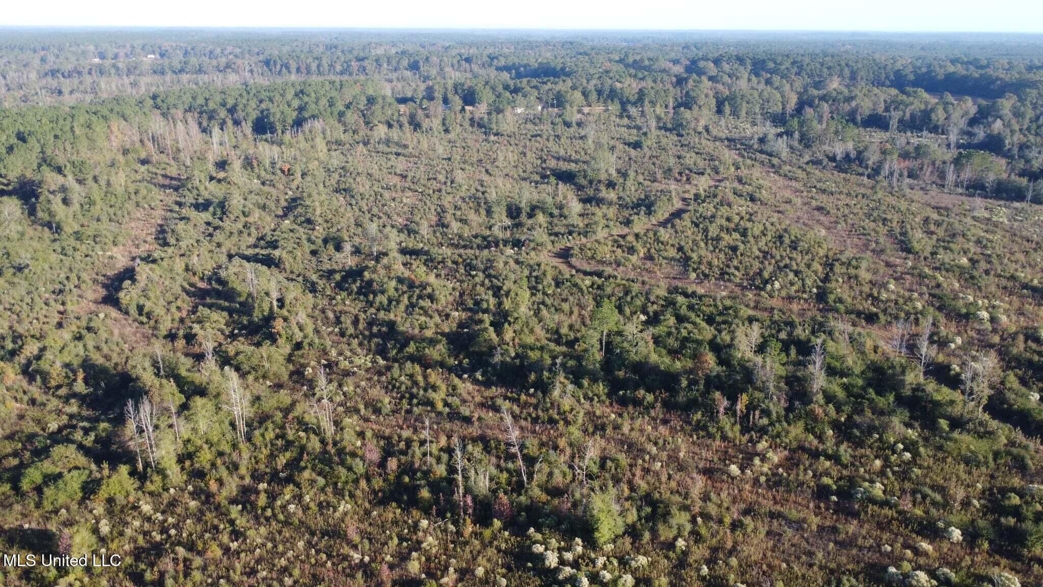 280 Pushapatapa Road Tylertown, MS 39667 - Photo 60 of 79 ca8af13d-bee1-4eeb-ac33-0f00ad3f8339