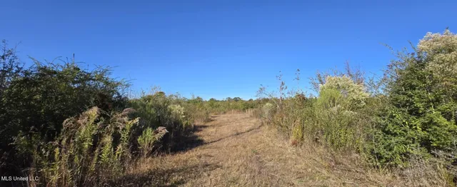 $161,000 | 280 Pushapatapa Road, Tylertown, MS 39667