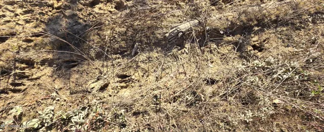 $161,000 | 280 Pushapatapa Road, Tylertown, MS 39667