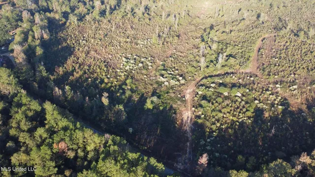 $161,000 | 280 Pushapatapa Road, Tylertown, MS 39667