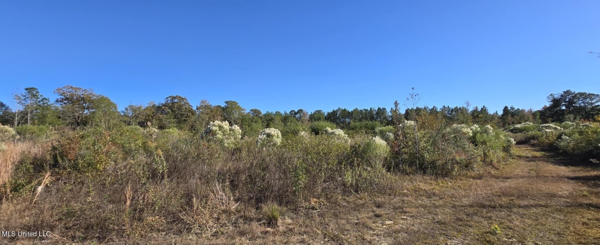 280 Pushapatapa Road Tylertown, MS 39667 - Photo 63 of 79 cf9245c1-0a90-45f8-acb7-172cd5aa09ae