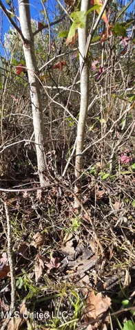 $161,000 | 280 Pushapatapa Road, Tylertown, MS 39667