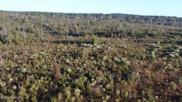 $161,000 | 280 Pushapatapa Road, Tylertown, MS 39667