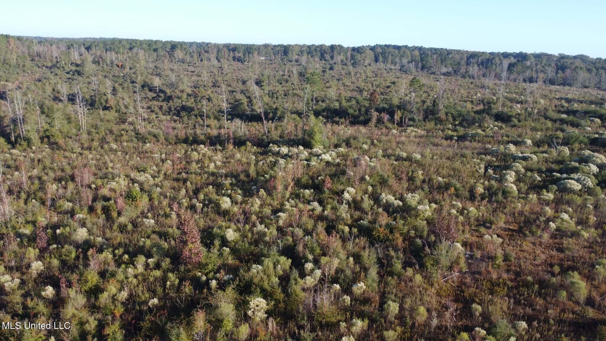 280 Pushapatapa Road Tylertown, MS 39667 - Photo 65 of 79 d4ba87f9-127b-412b-9030-f493670125d7