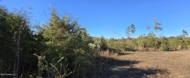 $161,000 | 280 Pushapatapa Road, Tylertown, MS 39667