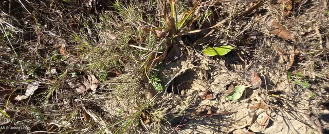 $161,000 | 280 Pushapatapa Road, Tylertown, MS 39667